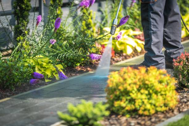Best Boat and Dock Cleaning  in Roosevelt, NY