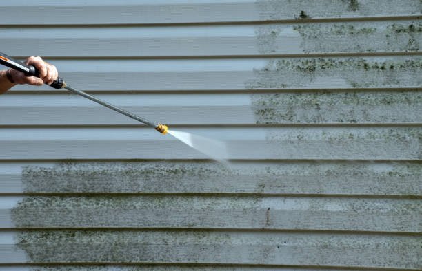 Best Patio and Deck Pressure Washing  in Roosevelt, NY